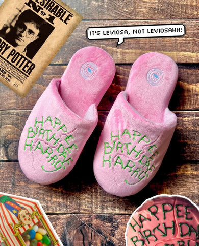 Pantuflas Harry Potter Pastel
